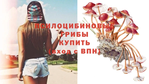 амфетамин Богданович